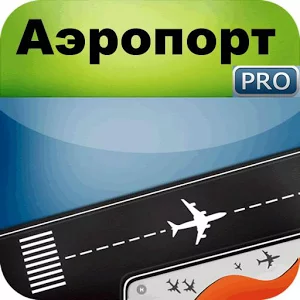 Скачать приложение Домодедово Московский Аэропорт полная версия на андроид бесплатно