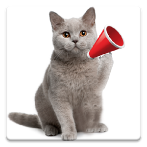 Скачать приложение Cat Звуки полная версия на андроид бесплатно