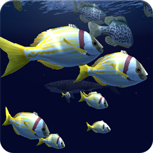 Скачать приложение Fish Schooling VR полная версия на андроид бесплатно