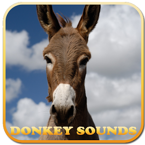 Скачать приложение Donkey Sounds funny полная версия на андроид бесплатно