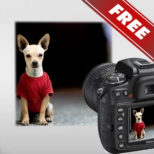 Скачать приложение DSLR Camera — Photo Guide Free полная версия на андроид бесплатно