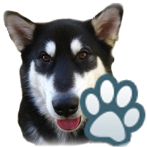 Скачать приложение Собаки полная версия на андроид бесплатно