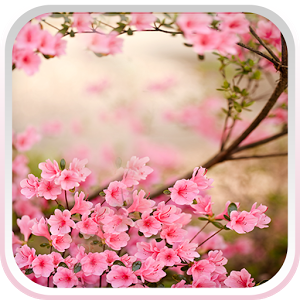 Скачать приложение Весенние цветы Живые Обои полная версия на андроид бесплатно