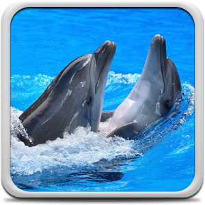 Скачать приложение Дельфины Живые Обои полная версия на андроид бесплатно