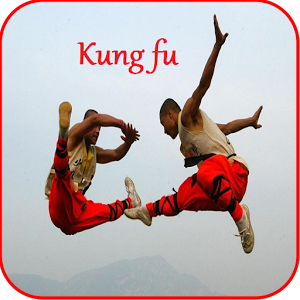 Скачать приложение Кунг Фу полная версия на андроид бесплатно