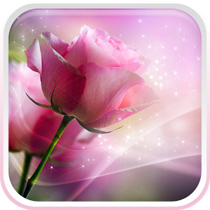 Скачать приложение Розовые розы Живые Обои полная версия на андроид бесплатно