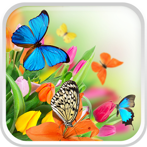 Скачать приложение Живые Обои бабочка полная версия на андроид бесплатно