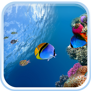 Скачать приложение Oкеанов Рыба Живые Обои полная версия на андроид бесплатно
