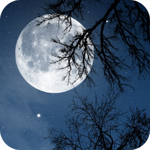 Скачать приложение Расслабьтесь ночь полная версия на андроид бесплатно