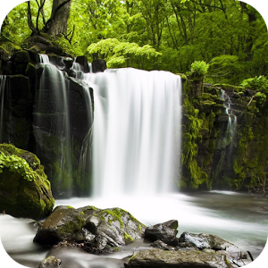Скачать приложение Расслабьтесь лес полная версия на андроид бесплатно