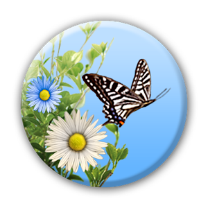 Скачать приложение Бабочка полная версия на андроид бесплатно