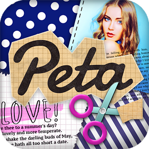 Скачать приложение Petapic — Photo Collage App полная версия на андроид бесплатно
