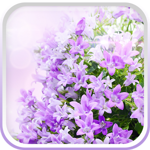 Скачать приложение Сиреневая Цветы Живые Обои полная версия на андроид бесплатно