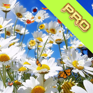 Скачать приложение цветок Живые обои в пользу полная версия на андроид бесплатно