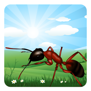 Скачать приложение Ant Farm полная версия на андроид бесплатно