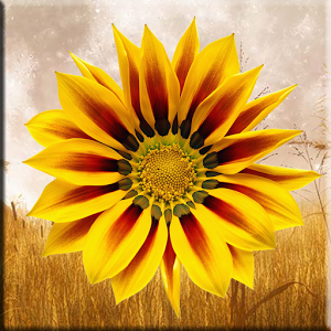 Скачать приложение Fall Harvest Flowers полная версия на андроид бесплатно