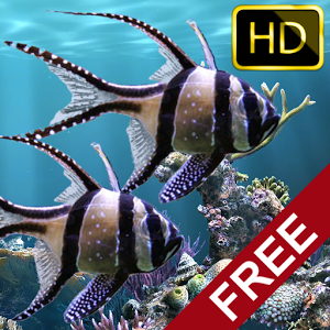 Скачать приложение Настоящий аквариум — HD полная версия на андроид бесплатно