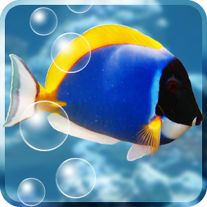 Скачать приложение Aquarium Free Live Wallpaper полная версия на андроид бесплатно