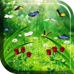 Скачать приложение Летний сад Живые Обои полная версия на андроид бесплатно