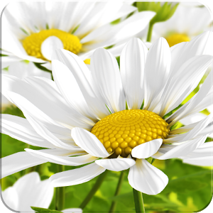 Скачать приложение My Flower lLWP полная версия на андроид бесплатно