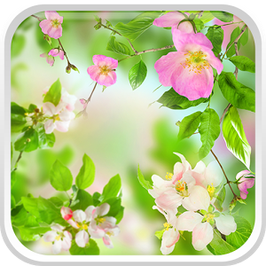 Скачать приложение Hежный Цветы Живые Обои полная версия на андроид бесплатно