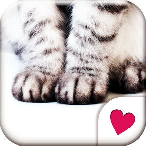 Скачать приложение Симпатичные обои★Cat Hands полная версия на андроид бесплатно