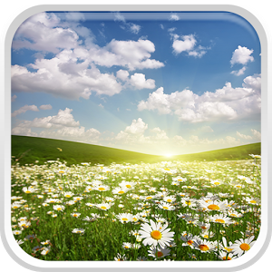 Скачать приложение пейзаж Живые Обои полная версия на андроид бесплатно