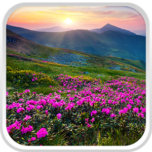 Скачать приложение Горный цветок Живые Обои полная версия на андроид бесплатно