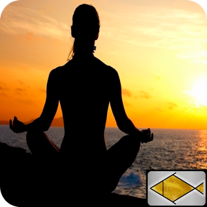 Скачать приложение Медитация релаксирующе музыкой полная версия на андроид бесплатно