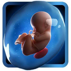 Взломанное приложение PregApp — 3D Pregnancy Tracker для андроида бесплатно