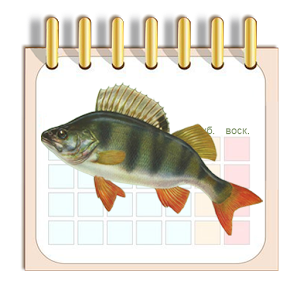 Скачать приложение Календарь рыбака полная версия на андроид бесплатно