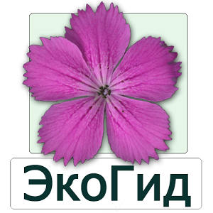 Скачать приложение ЭкоГид: Цветы полная версия на андроид бесплатно