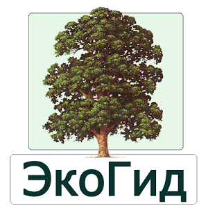 Скачать приложение ЭкоГид: Деревья летом полная версия на андроид бесплатно