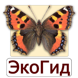 Скачать приложение ЭкоГид: Бабочки полная версия на андроид бесплатно