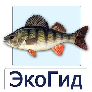 Скачать приложение ЭкоГид: Рыбы полная версия на андроид бесплатно