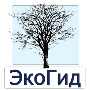 Скачать приложение ЭкоГид: Деревья зимой полная версия на андроид бесплатно