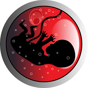 Скачать приложение Календарь беременности 2015г. полная версия на андроид бесплатно