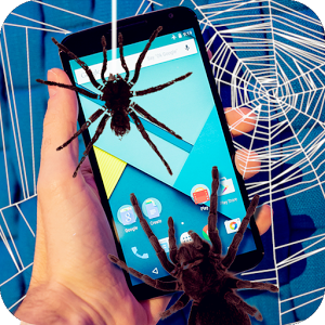 Скачать приложение Spider Crawling Prank полная версия на андроид бесплатно