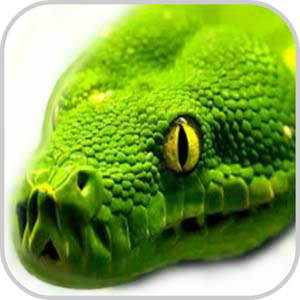 Скачать приложение How To Draw Snake Animals полная версия на андроид бесплатно