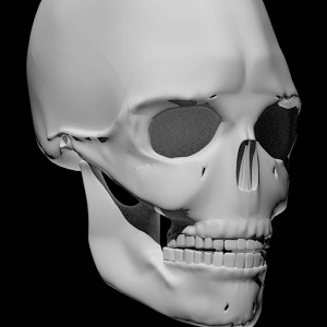 Скачать приложение Кости человека 3D (анатомия) полная версия на андроид бесплатно
