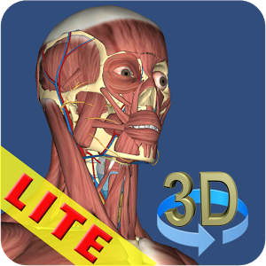 Скачать приложение 3D Anatomy Lite полная версия на андроид бесплатно