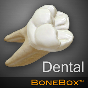 Скачать приложение BoneBox™ — Dental Lite полная версия на андроид бесплатно