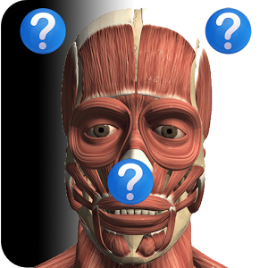 Скачать приложение Anatomy Quiz Lite полная версия на андроид бесплатно