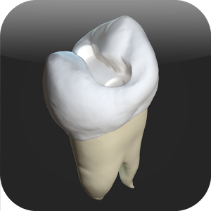 Скачать приложение CavSim : Dental Cavity Trial полная версия на андроид бесплатно