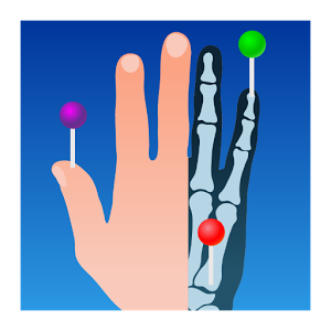 Скачать приложение IMAIOS e-Anatomy полная версия на андроид бесплатно