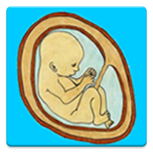 Скачать приложение Fetal Kick Count полная версия на андроид бесплатно