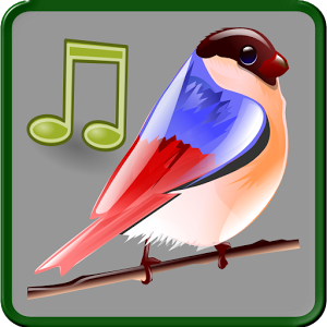 Скачать приложение Звуки Птиц полная версия на андроид бесплатно