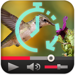 Взломанное приложение Slow Motion Fast Forward Video для андроида бесплатно