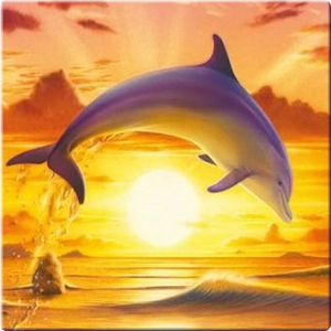 Скачать приложение Dolphin Wallpaper 3D FREE полная версия на андроид бесплатно
