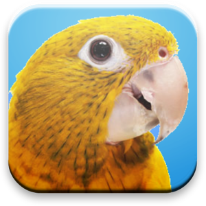 Скачать приложение Разговорный жанр для попугаев полная версия на андроид бесплатно
